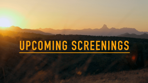 upcoming screenings